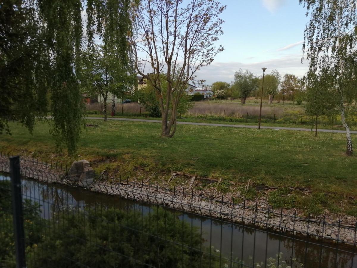 Apartamenty Przy Rynku Żnin Dış mekan fotoğraf